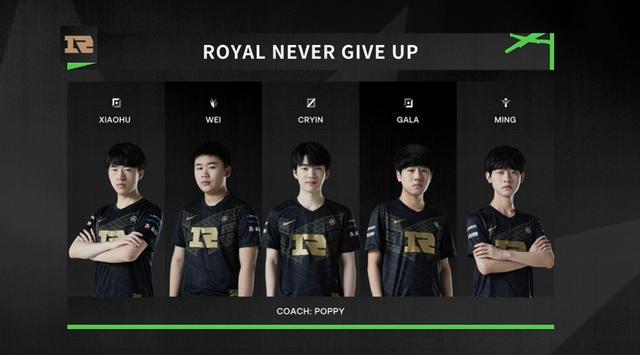 数量和质量 数量和质量