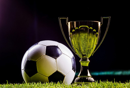 已建立的战 已建立的战